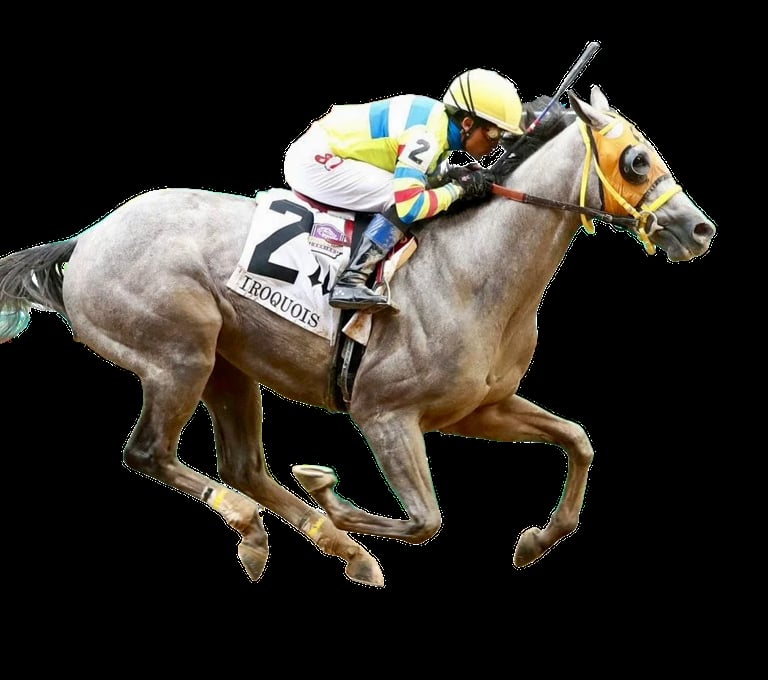 Thoroughbred racehorse with jockey in colorful silks galloping at full speed against a black background